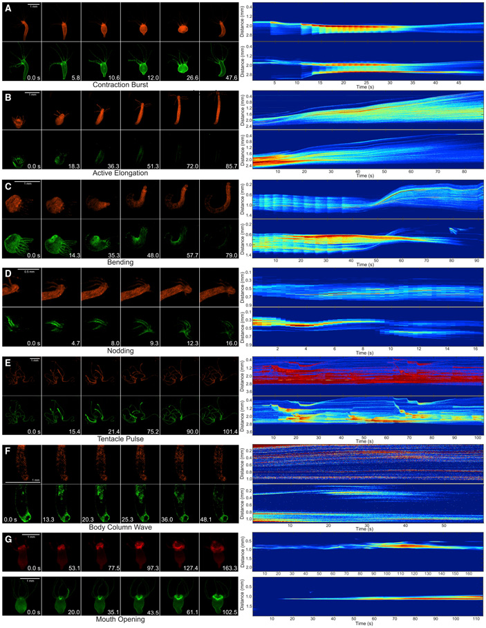 Кракен сбой