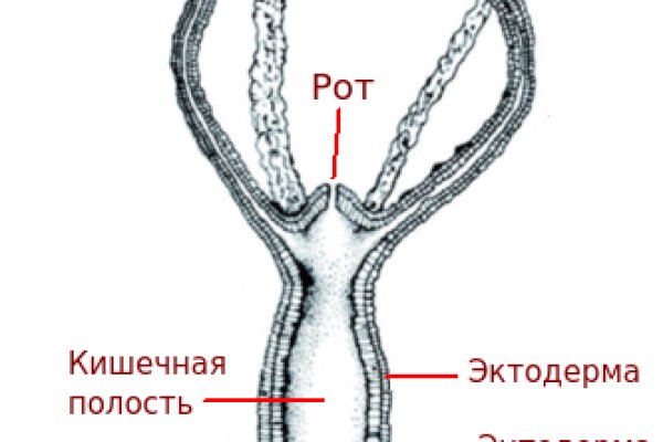 Кракен без тора